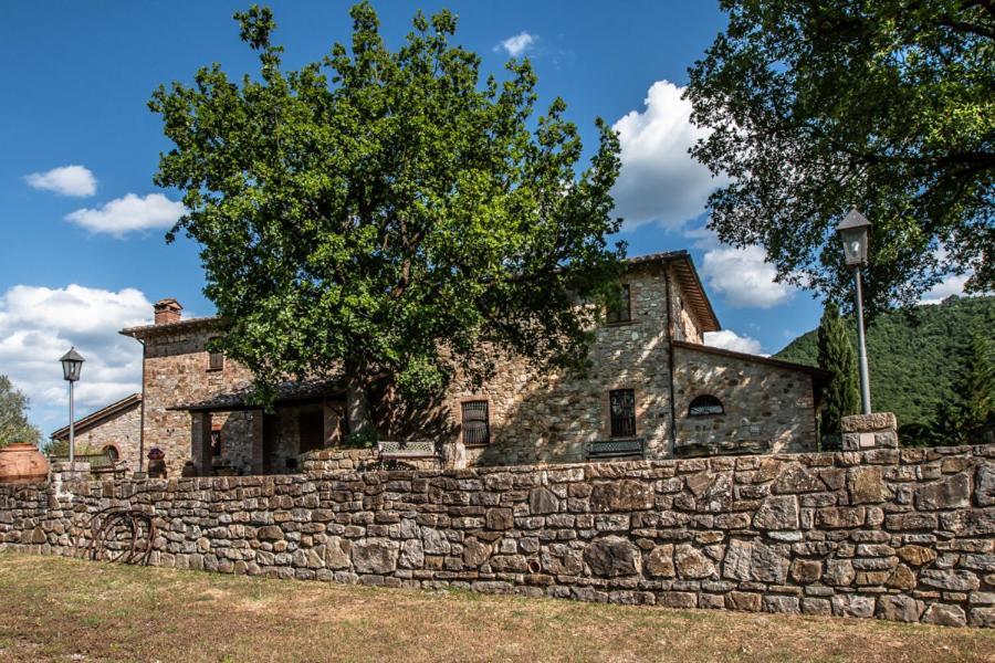 Il Colombaio Agriturismo Montegabbione ภายนอก รูปภาพ