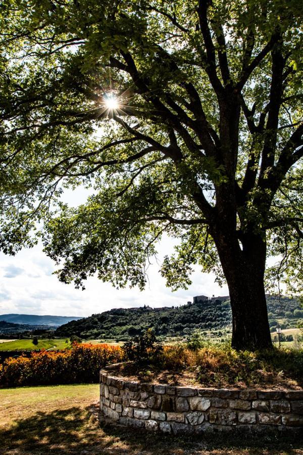Il Colombaio Agriturismo Montegabbione ภายนอก รูปภาพ